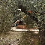 In Our Garden Sardinia - Orange Trees Glamping Tent * Capitana