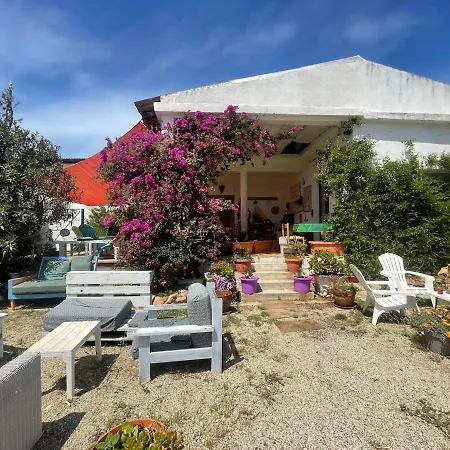 In Our Garden Sardinia - Orange Trees Glamping Tent Luksusowy namiot *