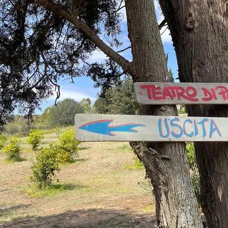 ラグジュアリーテント In Our Garden Sardinia - Orange Trees Glamping Tent