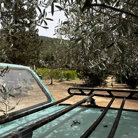 ラグジュアリーテント In Our Garden Sardinia - Orange Trees Glamping Tent
