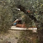 In Our Garden Sardinia - Orange Trees Glamping Tent 럭셔리텐트