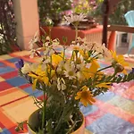 In Our Garden Sardinia - Orange Trees Glamping Tent