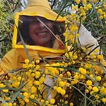 In Our Garden Sardinia - Orange Trees Glamping Tent * 캐피타나