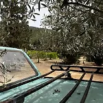 خيمة فخمة In Our Garden Sardinia - Orange Trees Glamping Tent