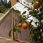 In Our Garden Sardinia - Orange Trees Glamping Tent Capitana