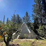 In Our Garden Sardinia - Orange Trees Glamping Tent Luxe tent *