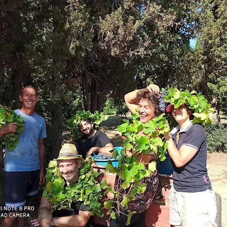 خيمة فخمة In Our Garden Sardinia - Orange Trees Glamping Tent كابيتانا