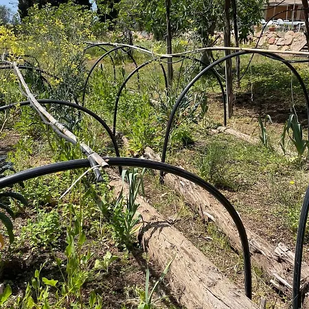 In Our Garden Sardinia Glamping