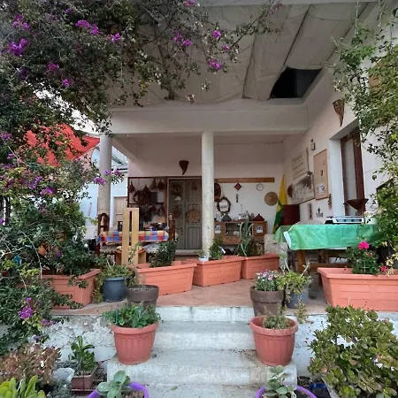 In Our Garden Sardinia Capitana