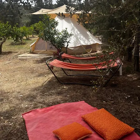 In Our Garden Sardinia - Orange Trees Glamping Tent * Capitana