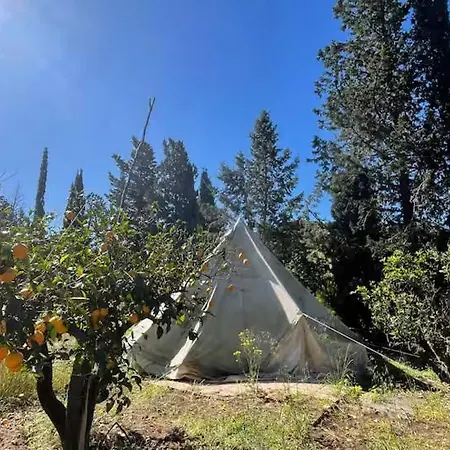 In Our Garden Sardinia - Orange Trees Glamping Tent Luxe tent *