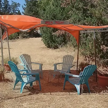 In Our Garden Sardinia - Orange Trees Glamping Tent Luxe tent