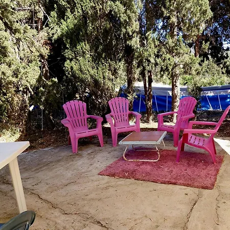 Luxe tent In Our Garden Sardinia - Orange Trees Glamping Tent Capitana