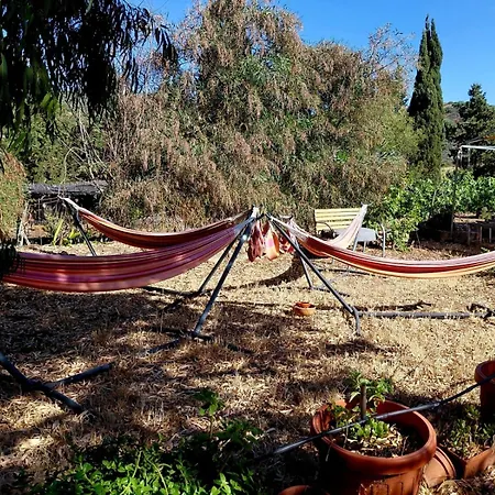 In Our Garden Sardinia - Orange Trees Glamping Tent Luksustelt *